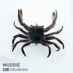 CRUSTY CRAB - 06-Muddie