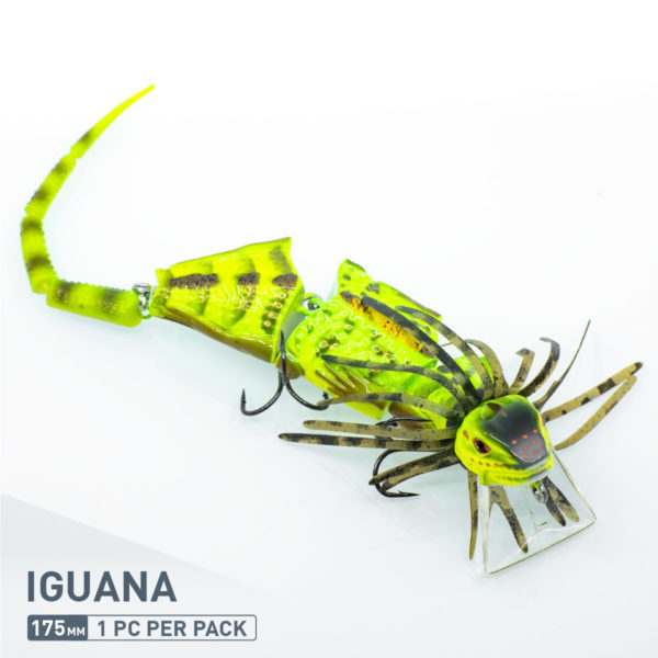 FRILLSEEKER - 02-Iguana